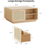 Modern Rattan Coffee Table with Storage Drawers, Adjustable Shelves