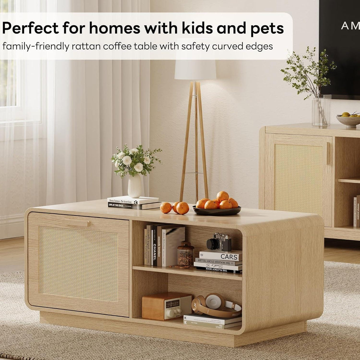 Modern Rattan Coffee Table with Storage Drawers, Adjustable Shelves