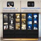 Display Cabinet with LED Lights, 67" Bookcase with Drawers, Curio Storage Case